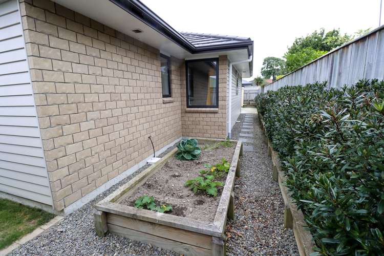 484b Albert Street Hokowhitu_13