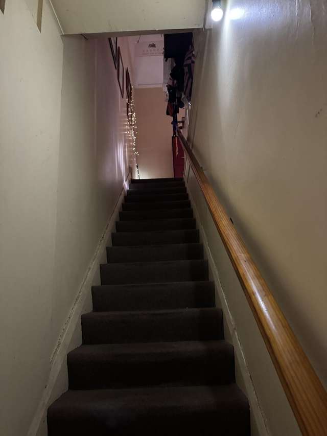 553 Dominion Road Balmoral_2