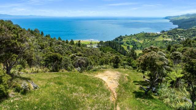 98 Tapu Rise Heights Thames_4