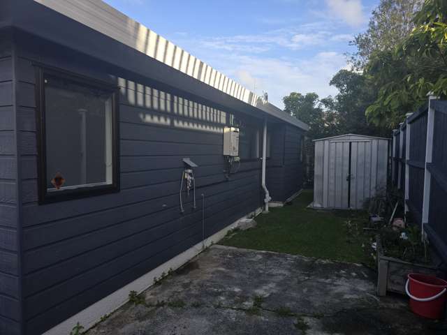 3 Griffen Park Road Mount Roskill_3