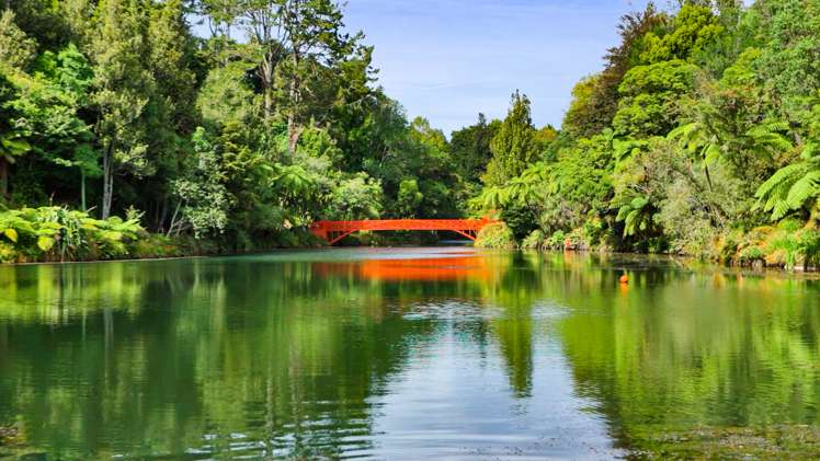 41 Tokomaru Street Welbourn_11