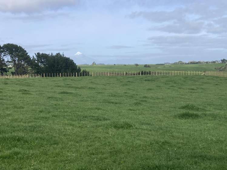 Lot 5/Near 127 Waitoetoe Road Urenui_5