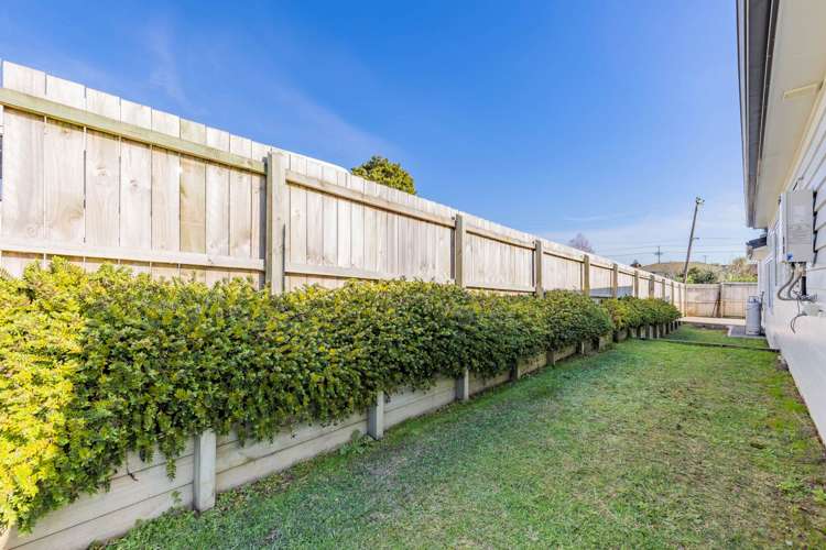 66b Pomaria Road Henderson_17