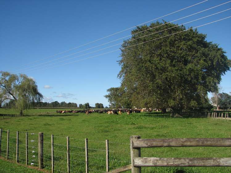 118 Costall Road Wardville_0