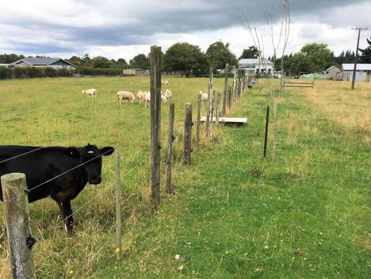 28 Bridger Place Eltham_0