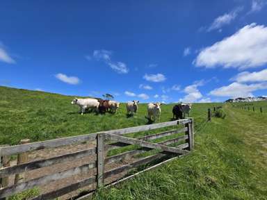 1090 Te Maire Road_2