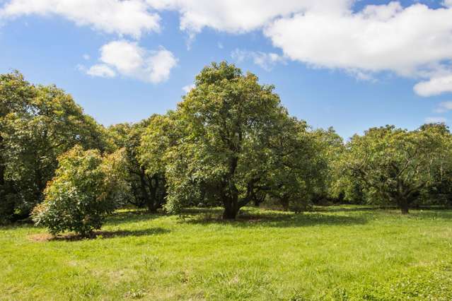 Lot 11 Timon Drive Katikati_3