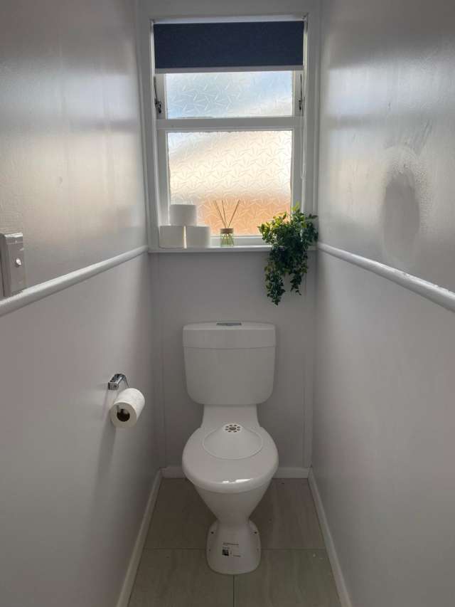 60 East Avenue Te Aroha_3