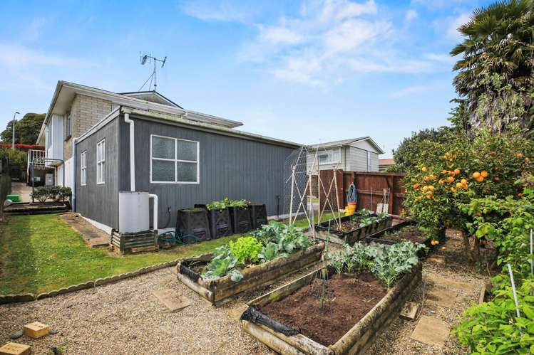 1001 Picquet Hill Road Te Awamutu_24