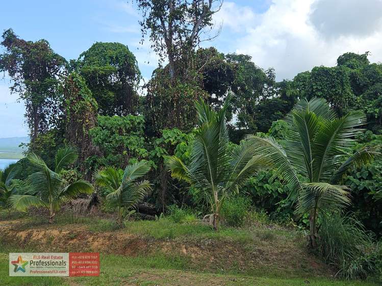 Address withheld Savusavu_20