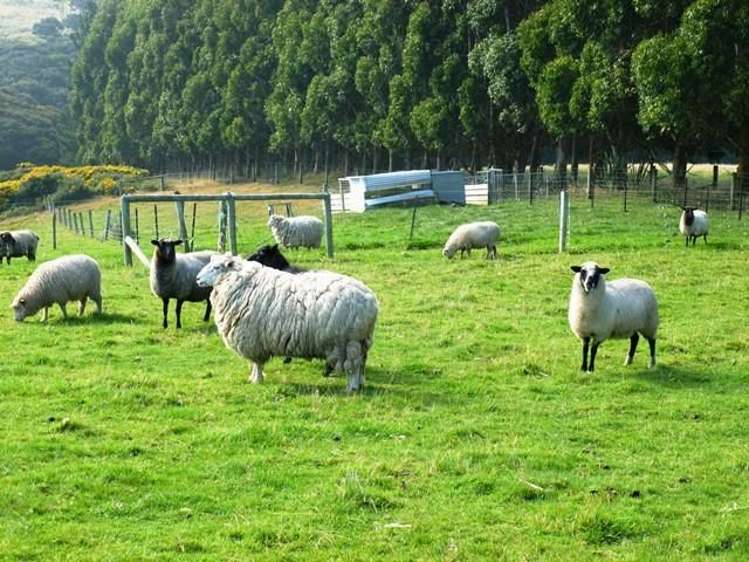 29 Liddells Road Taieri Mouth_9