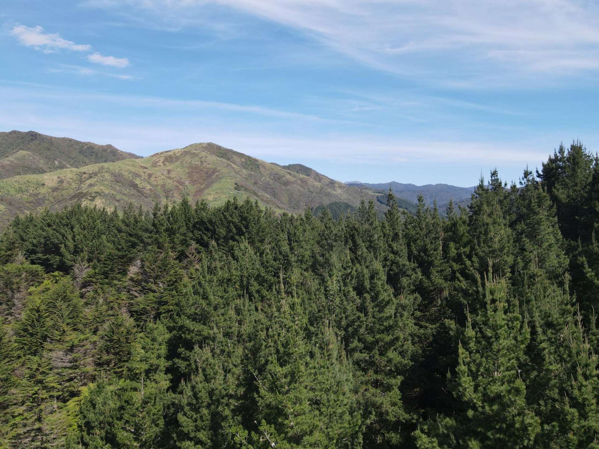 353 Pretoria Road Shannon_0