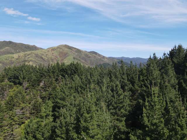 353 Pretoria Road Shannon_1