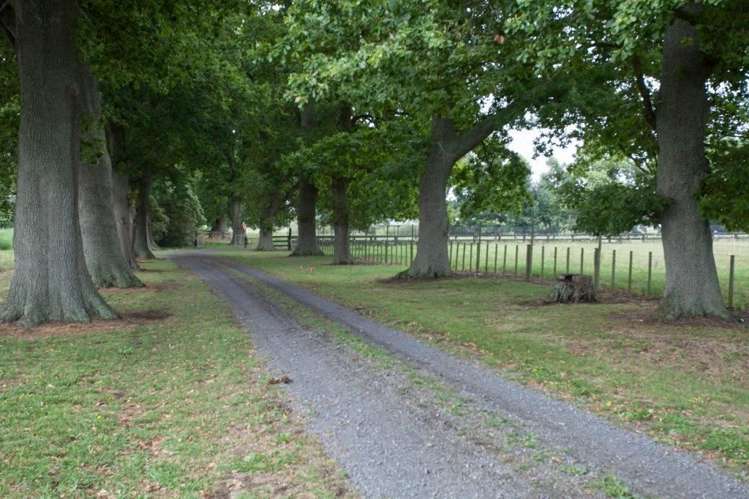 491a Bruntwood Road Tamahere_23