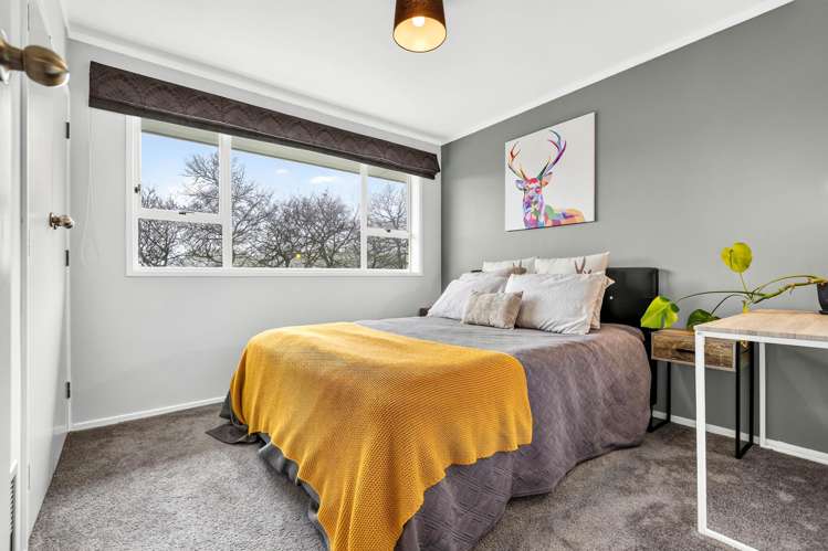 39 Seales Road Morrinsville_8