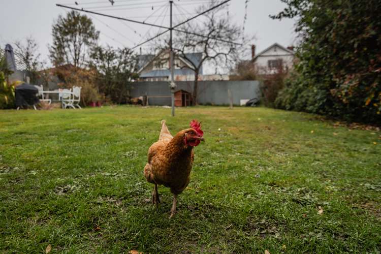 34 Sefton Street Seaview_18