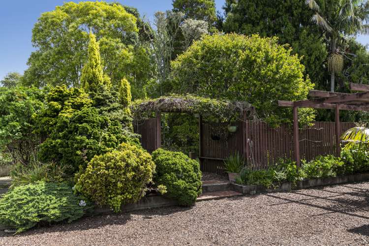 136 Mahoenui Valley Road Coatesville_19