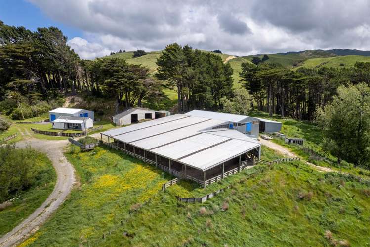 559 Korora Road Pongaroa_20
