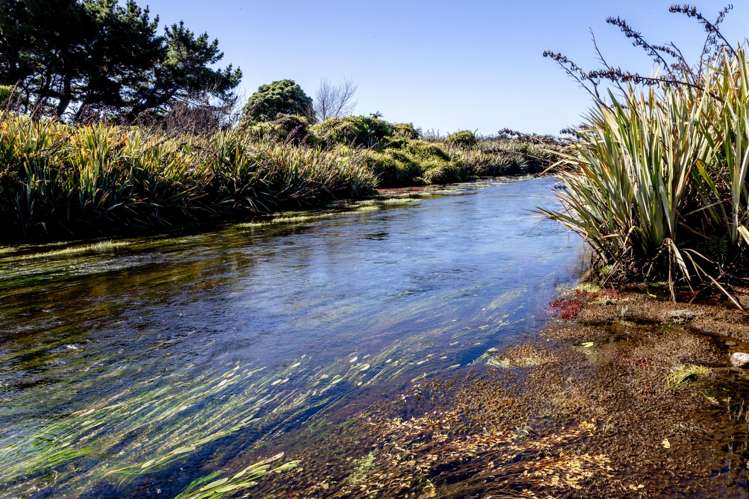 340 Ruatapu Road Hokitika_24