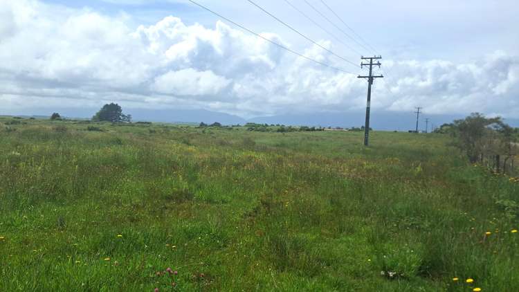 980 Wilsons Lead Road Cape Foulwind_1