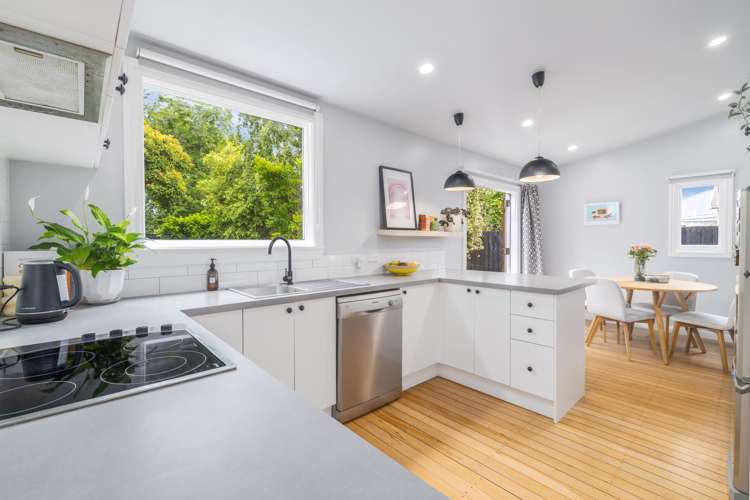 32 Gibbon Street Sydenham_1