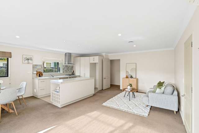 144A Winchester Street Levin_2