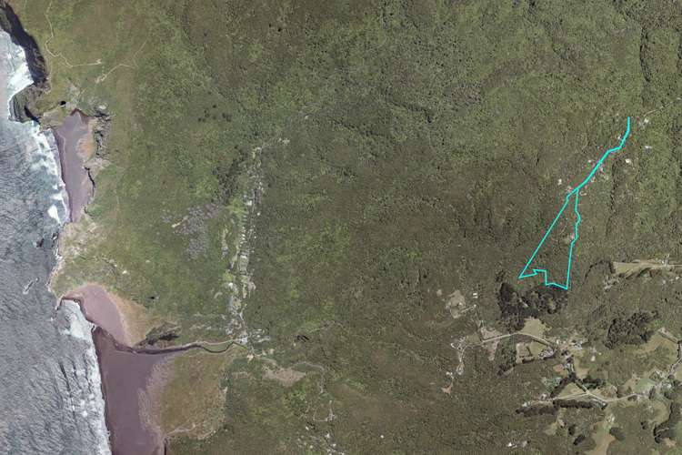 16 La Trobe Track Karekare_46