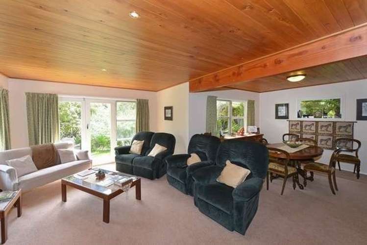 560 Shenandoah Highway Murchison_13