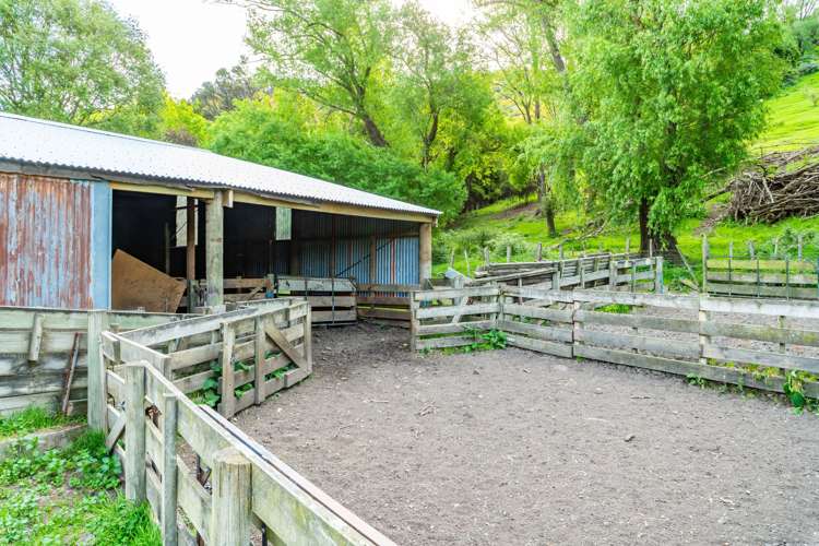 44 Parkinsons Road Ataahua_15