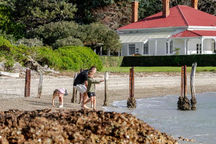 40 Rothschild Terrace Waiheke Island_7