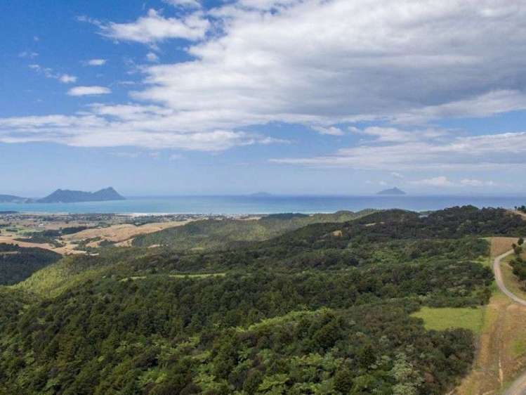 442 Prescott Road Ruakaka_2