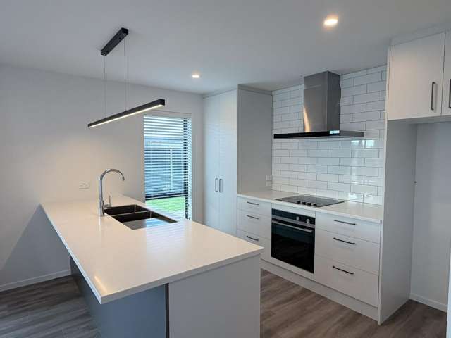 176 Lady Isaac Drive Rolleston_1