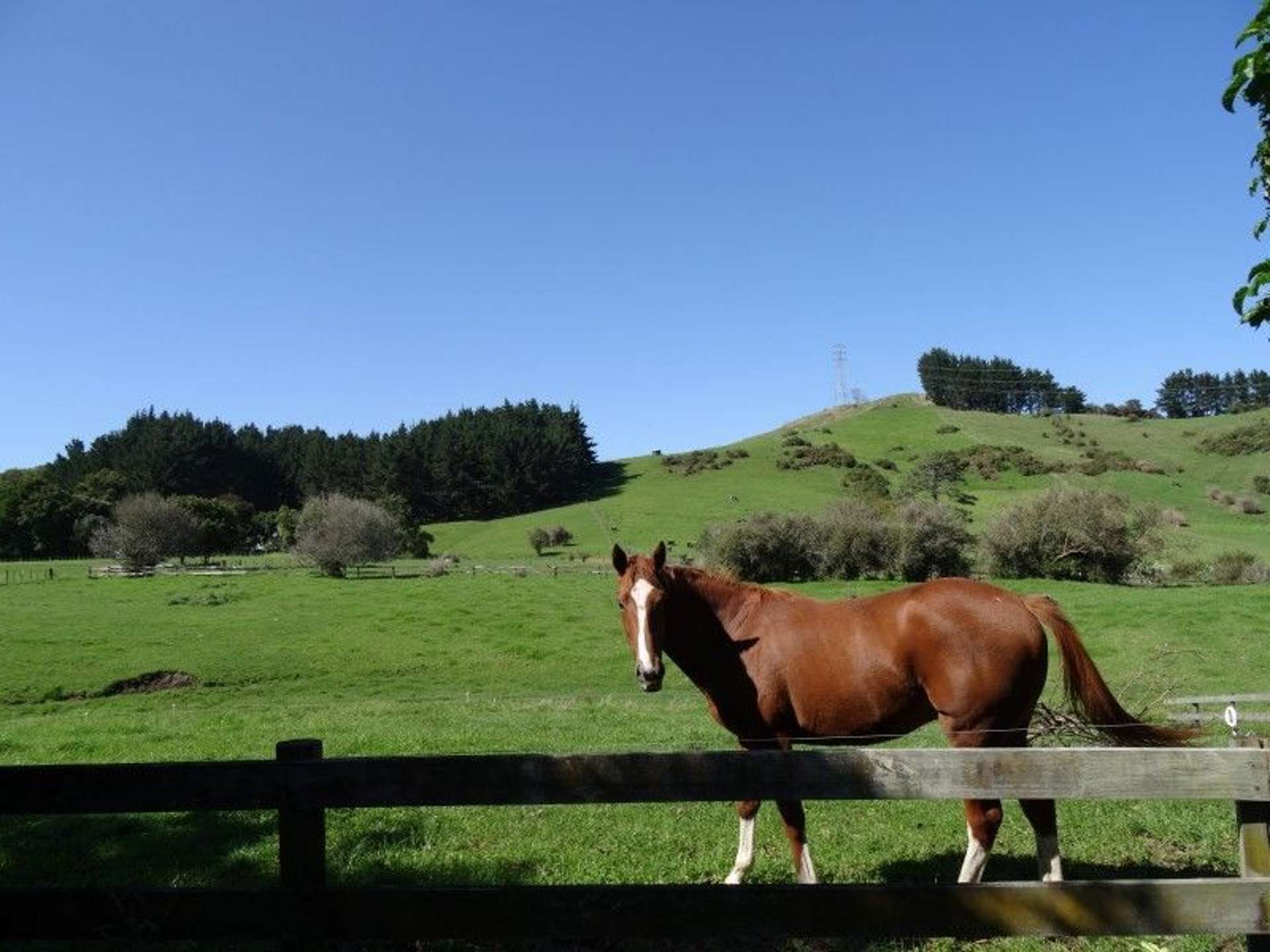 72 Puriri Valley Road Puriri_0