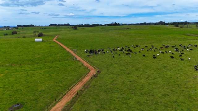 518 Mangakaretu Road Okaihau_2