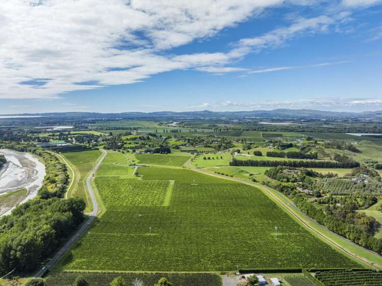 1905 Matapiro Road Crownthorpe_21