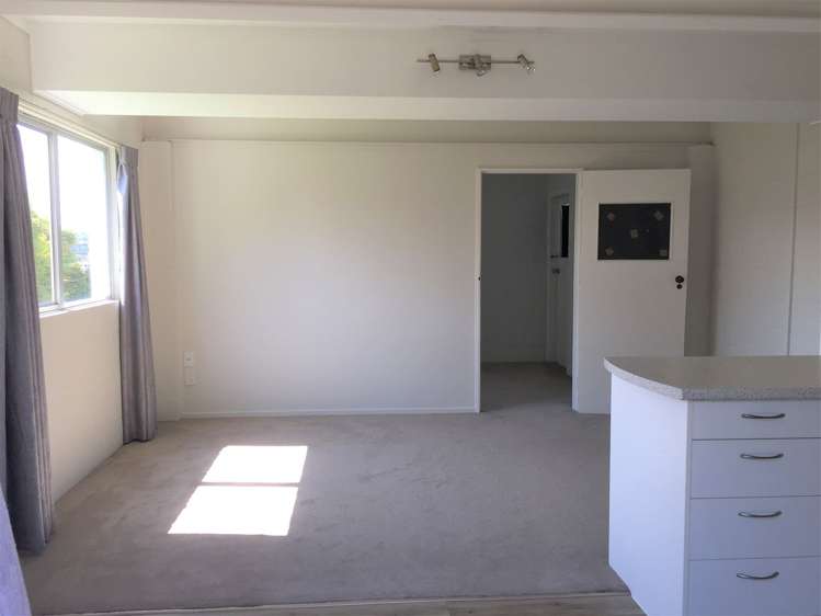 74 Carlton Street Hillsborough_22