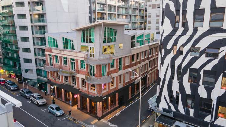 1/3 Holland Street Te Aro_1