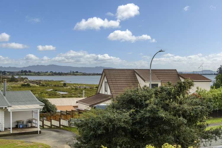 16 Westwood Street Bellevue_4