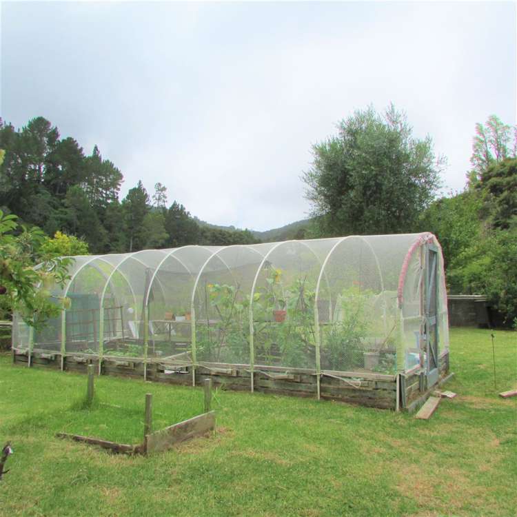 303 Totara North Road Kaeo_9