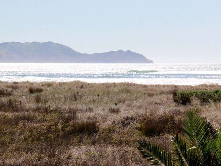 24 Te Paerahi Road Porangahau_18