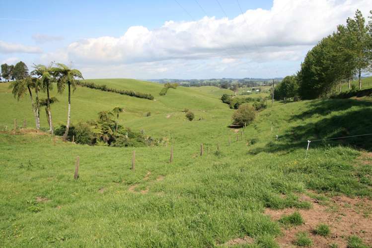 346 Lincoln Road Inglewood_18