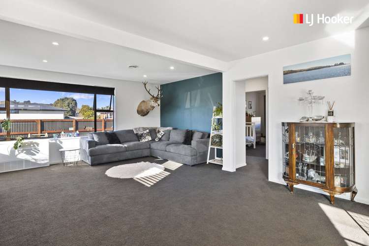 6 Vampire Road Waldronville_4