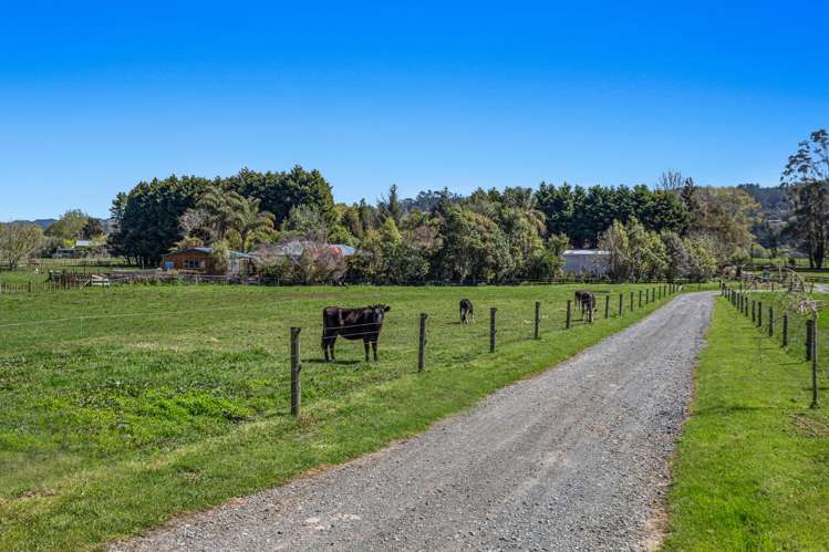 375c Taneatua Road Taneatua_24