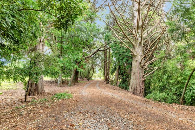 23 Harrisons Line Ashhurst_26