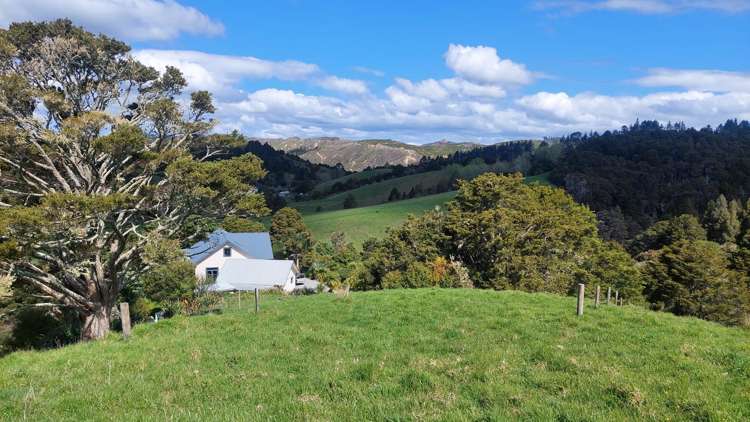 152 McBreen Road Hikurangi Rd1_38