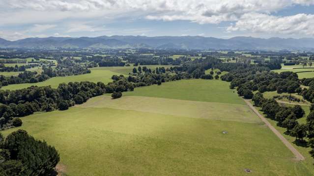 227 Whenuahou Road Norsewood_2