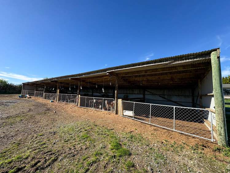 539. Mataura Island Fortrose Road Pine Bush_20