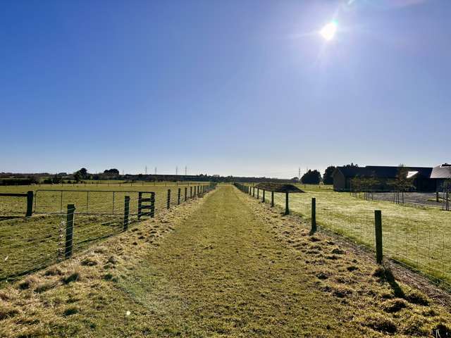 Opportunity Knocks - Makarewa!