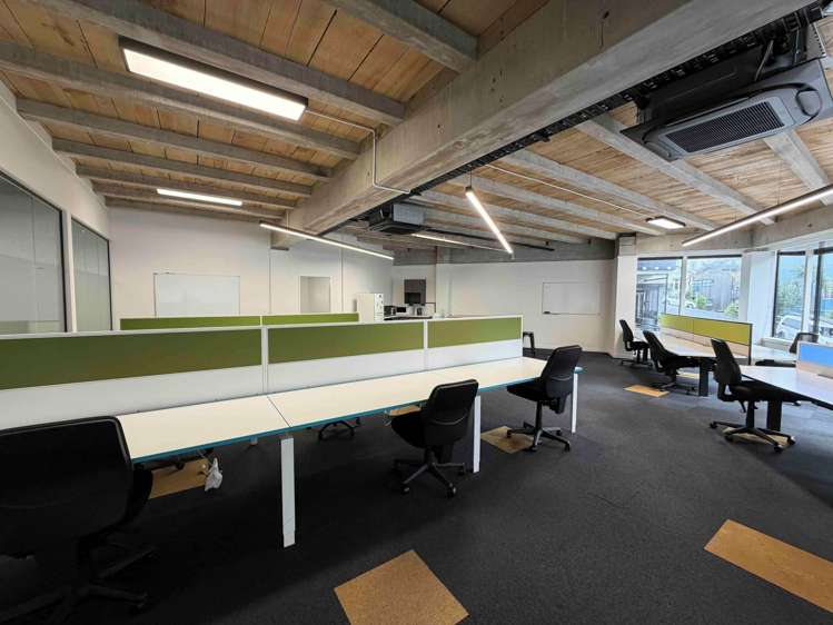 22 Dundonald Street Eden Terrace_5