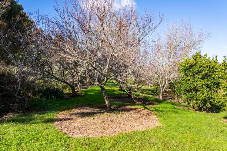 3/69A Vineyard Lane Mangawhai_10